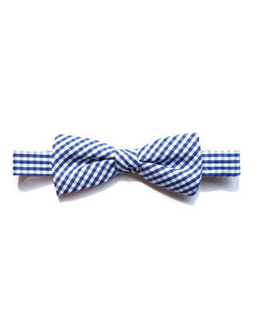navy gingham bow
