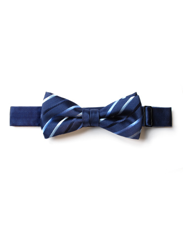 vanners navy stripe