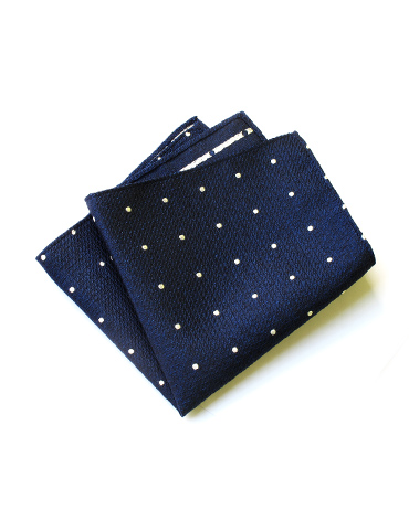 polka dotted navy